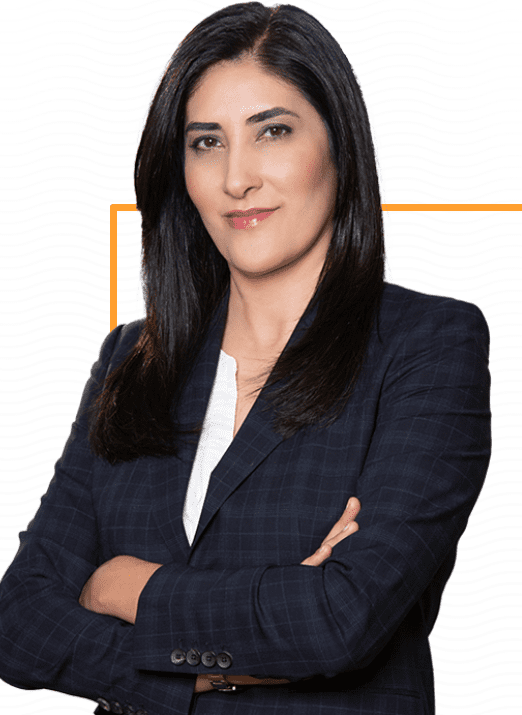 Ninaz Saffari, Lawyer